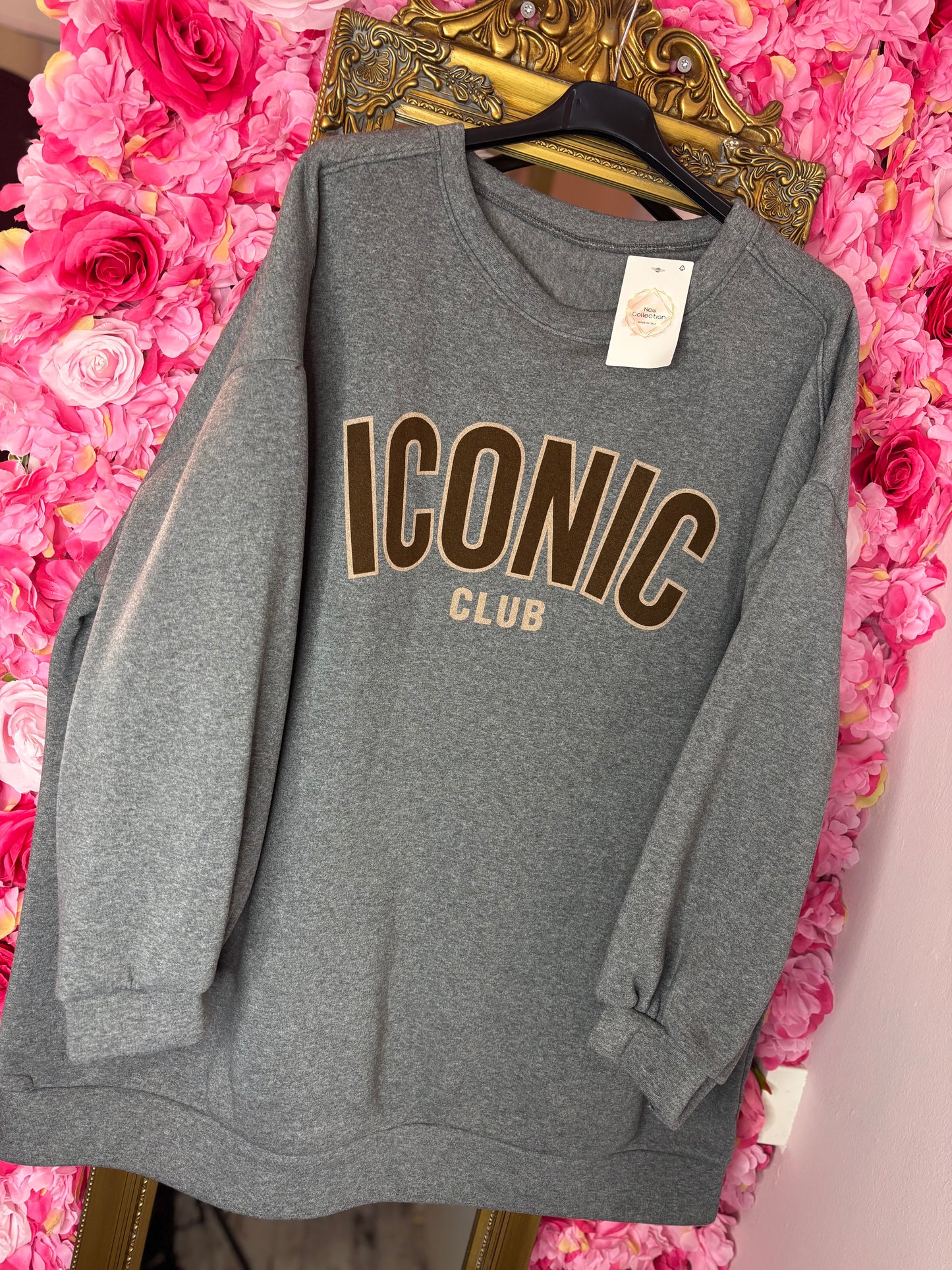 Trui Icon Soft Grijs Plus Size Maat 48 t/m 52-54