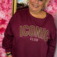 Sweater Icon Bordeaux Plus Size Maat 46 t/m 54